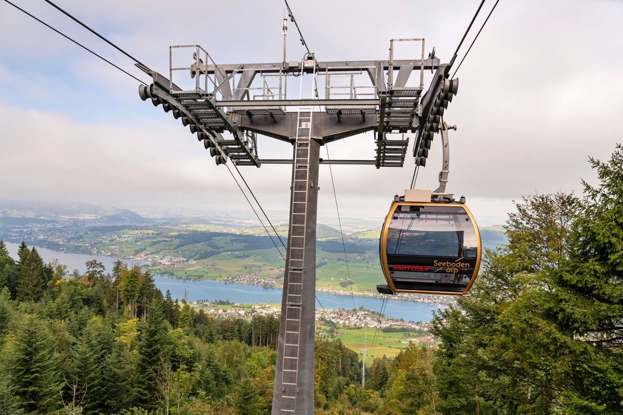 Seebodenalp Ticket Luftseilbahn ab Küssnacht