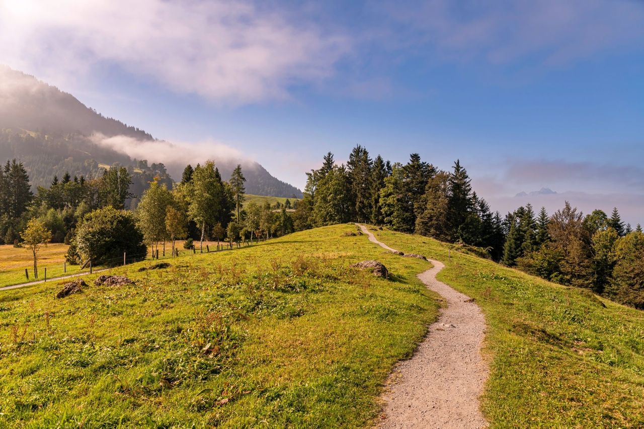 Seebodenalp Ticket Luftseilbahn ab Küssnacht