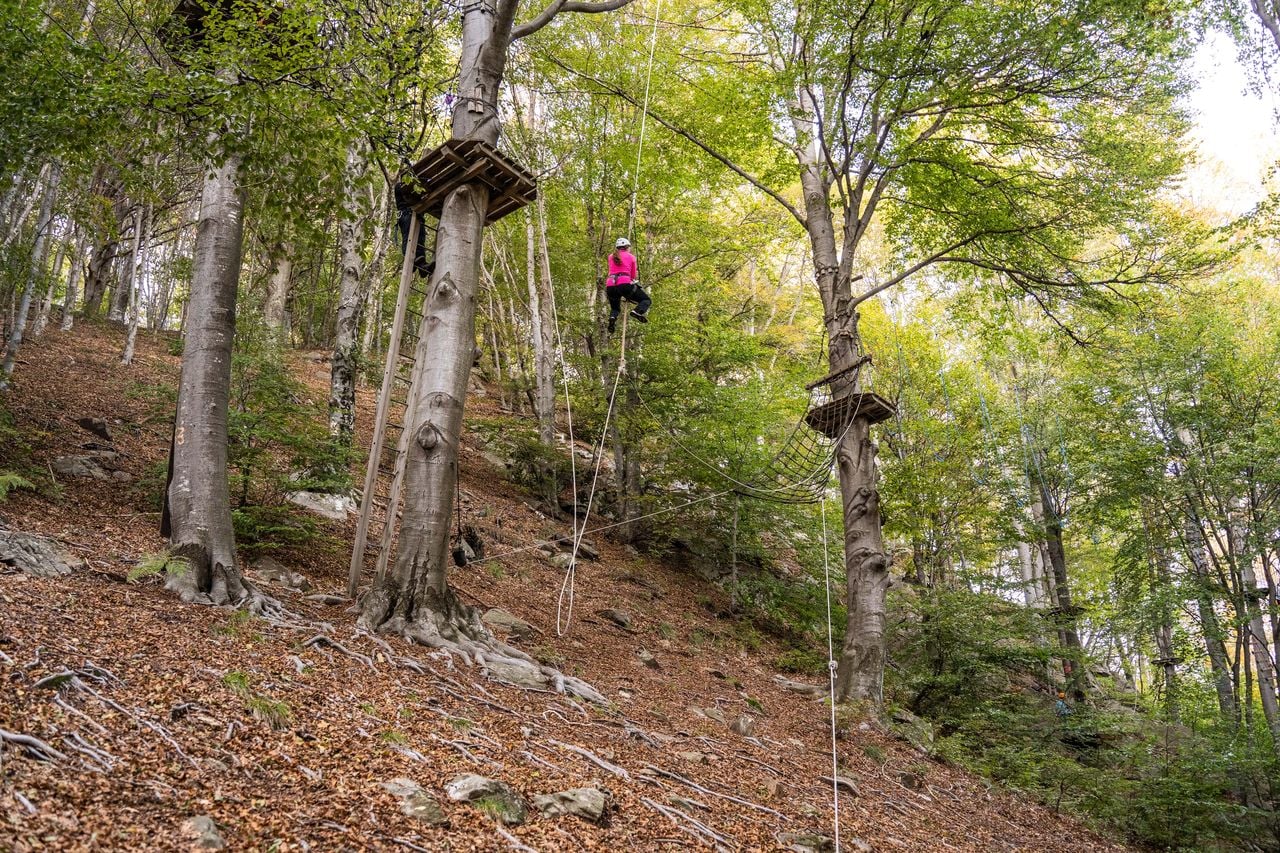 Seilpark Monte Tamaro inkl. Bahnticket