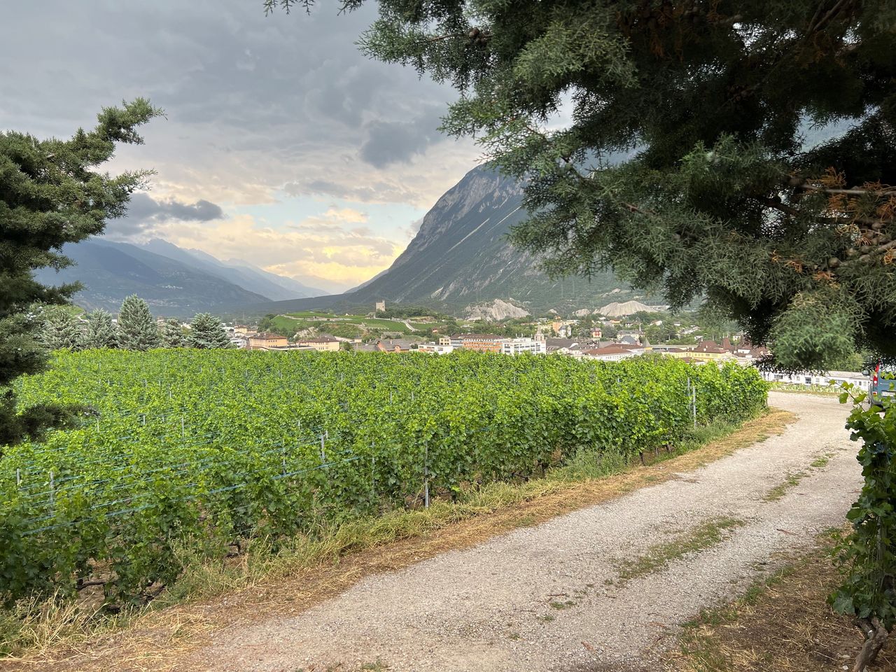 Ab Sierre: privater Transfer im Minibus nach Crans Montana oder Vércorin