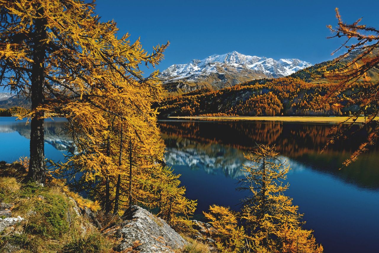 Palm Express Postauto Ticket ab St. Moritz oder Lugano