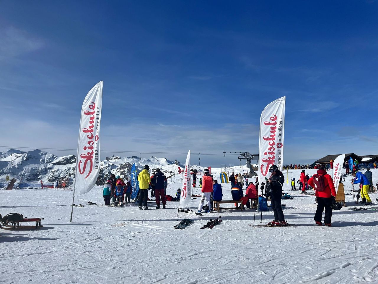 Performance Check Carving Männlichen