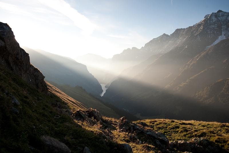 Wildtierbeobachtung Bartgeier und Steinadler im Calfeisental