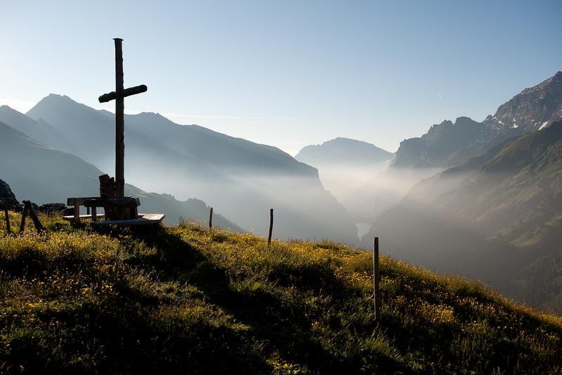 Wildtierbeobachtung Bartgeier und Steinadler im Calfeisental