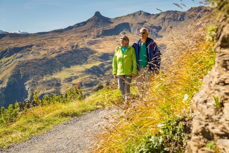 Führung "Entstehung der Alpen" im UNESCO-Welterbe