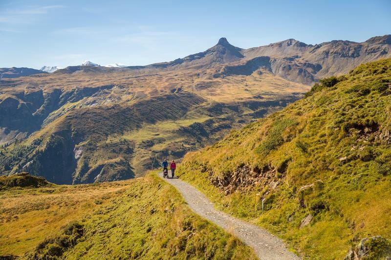 Führung "Entstehung der Alpen" im UNESCO-Welterbe
