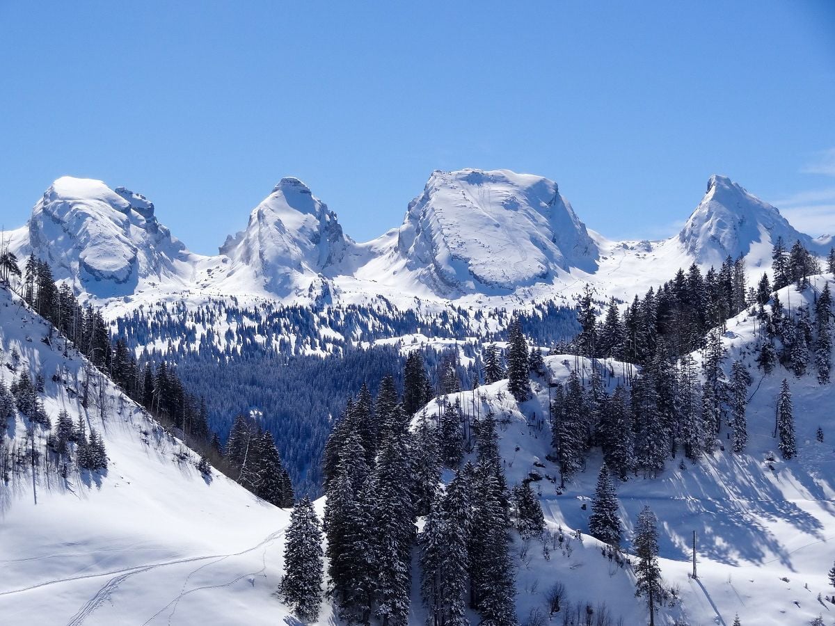 Schneeschuhwanderung in Wildhaus Toggenburg