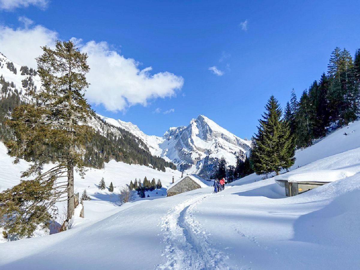 Schneeschuhwanderung in Wildhaus Toggenburg