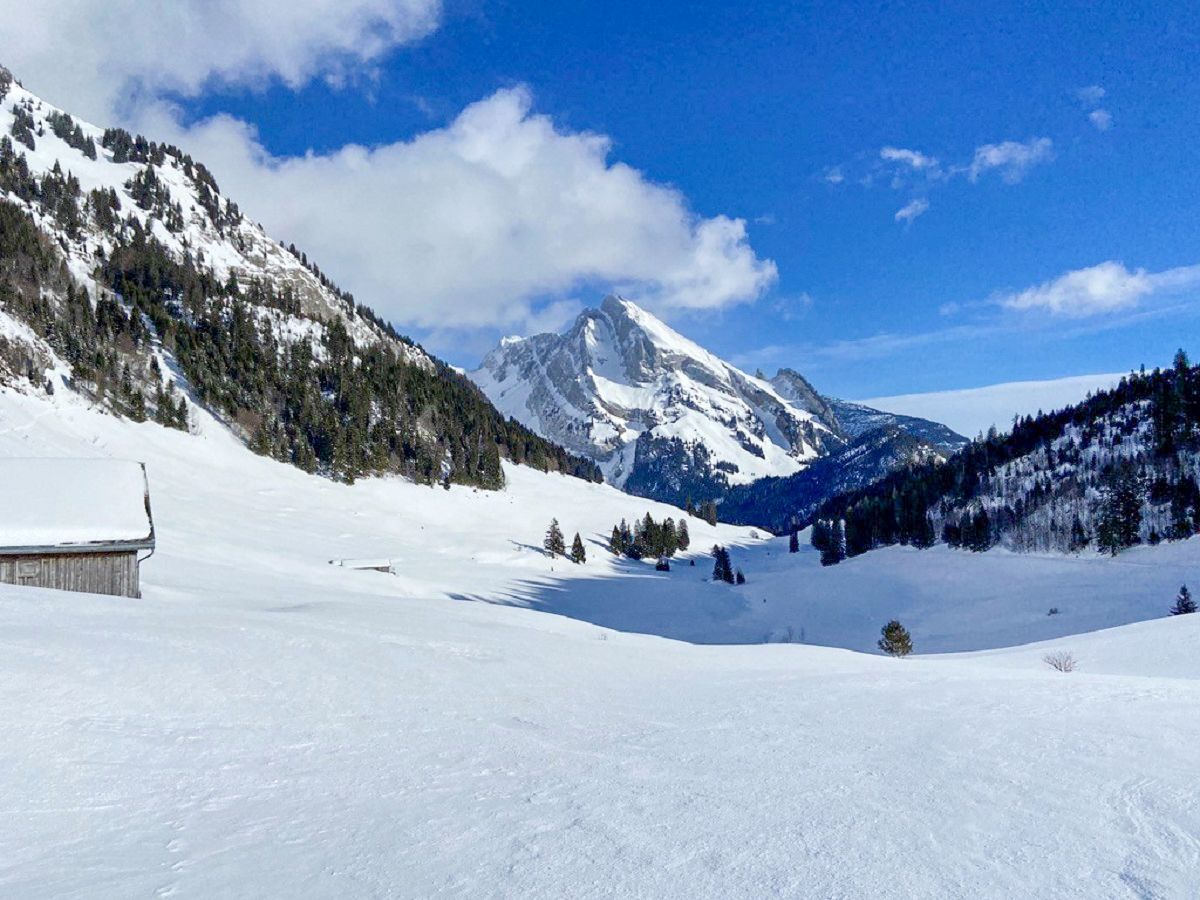 Schneeschuhwanderung in Wildhaus Toggenburg