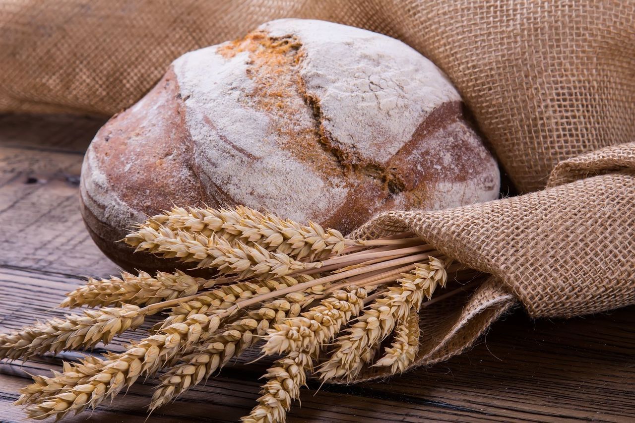 Bread baking guided tour and course in Val Müstair