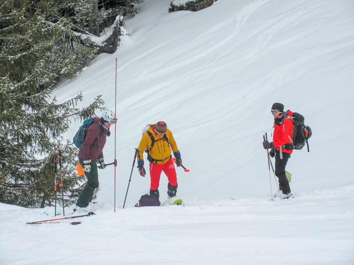 Practice day avalanche knowledge with ski, splitboard, and snowshoe tour