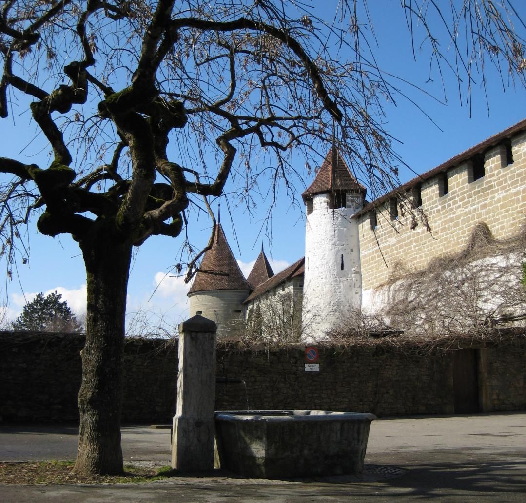 "Altstadt und Museum" Stadtführung Murten