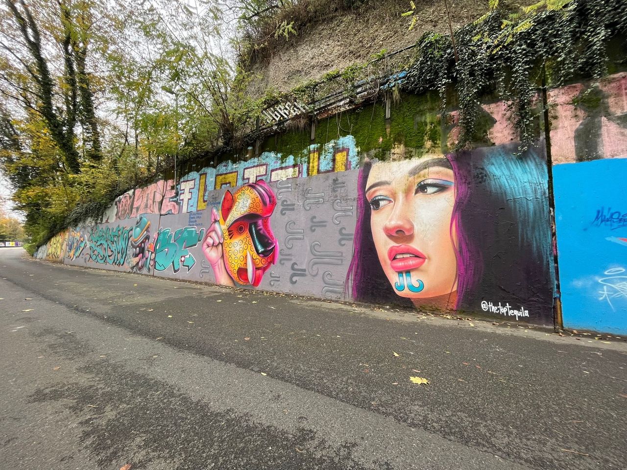 Fahrradtaxi Urban Art Stadtrundfahrt in Genf
