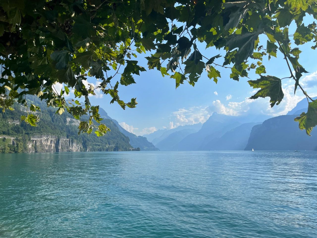 Tageskarte Vierwaldstättersee mit dem Schiff