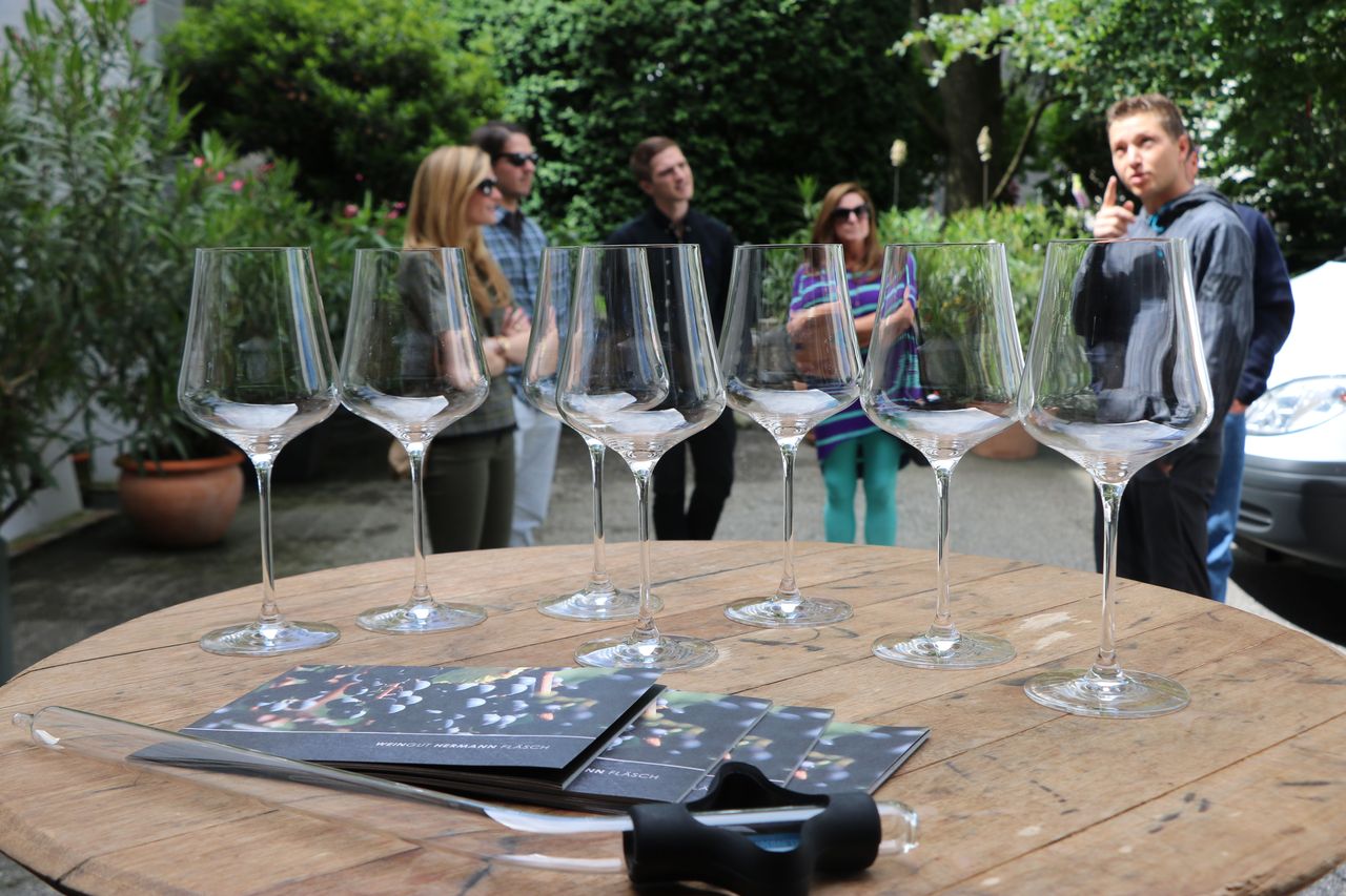 Private Vintage Wine Tour Bündner Herrschaft half day