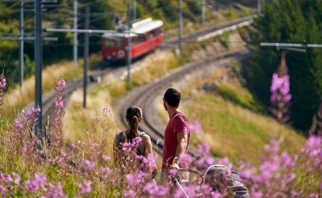 Mittagessen auf der Rigi inkl. Tageskarte Rigibahnen