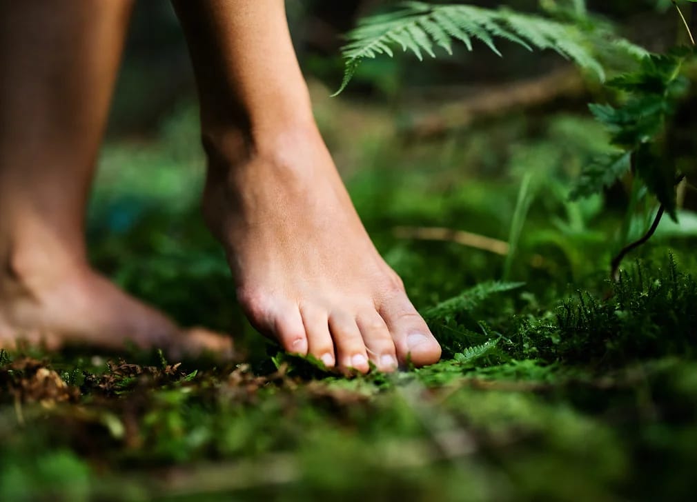 Wine tour and forest bathing with e-bike for women from Bad Ragaz