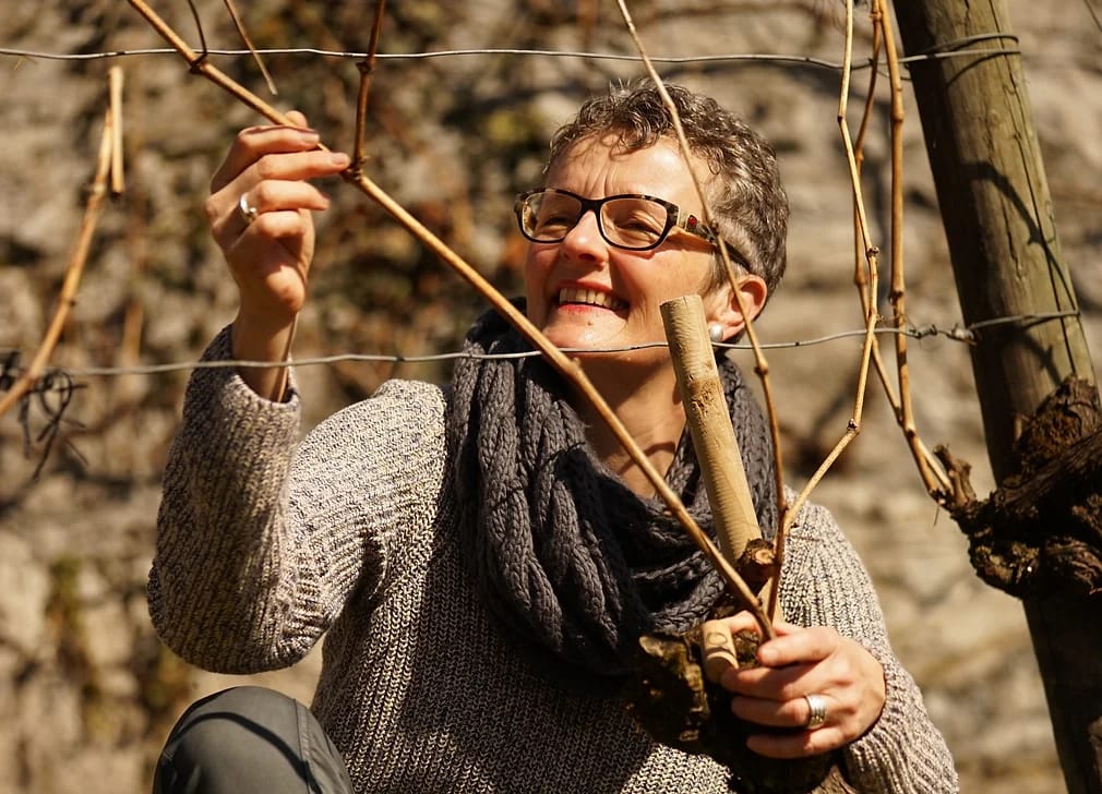 Wine tour and forest bathing with e-bike for women from Bad Ragaz