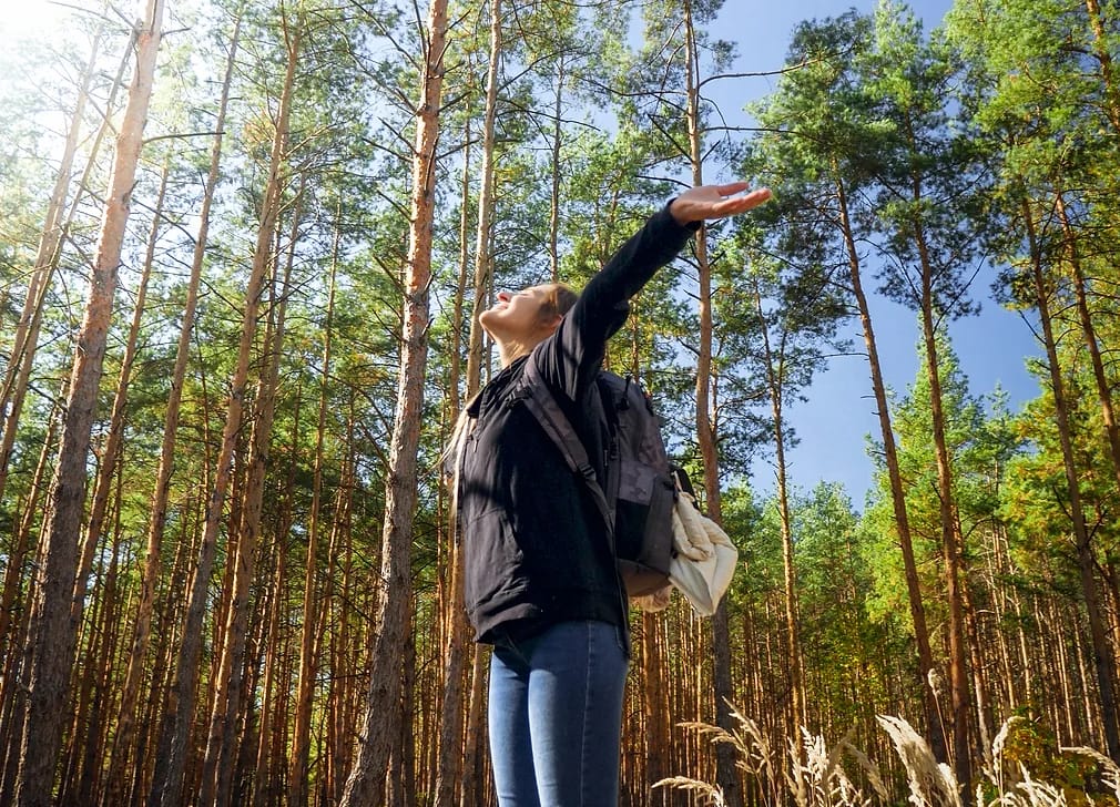 Wine tour and forest bathing with e-bike for women from Bad Ragaz