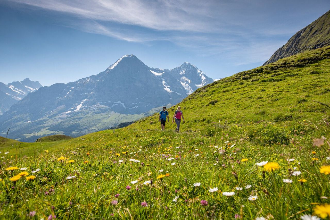 Wanderticket Grindelwald - Holenstein mit der Gondelbahn  