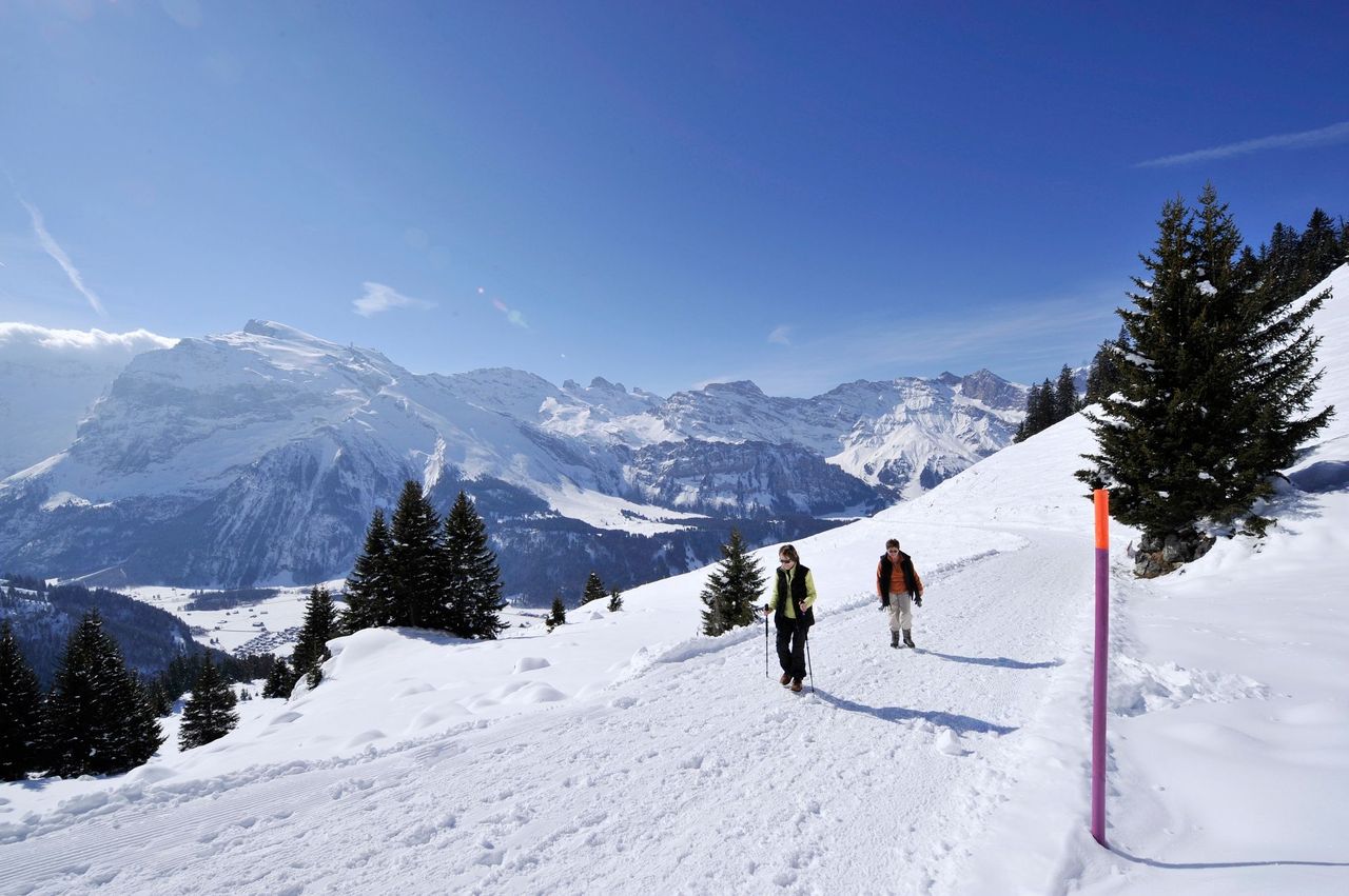 Engelberg-Brunnihütte Winter Ticket cable car and chairlift from Engelberg