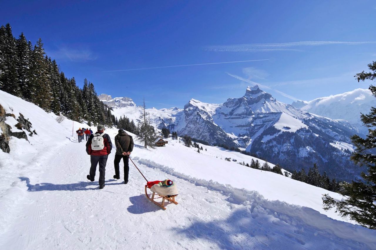 Engelberg-Ristis Winter Ticket Luftseilbahn ab Engelberg