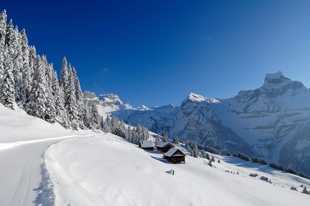 Skiticket Brunni und Klostermatte in Engelberg