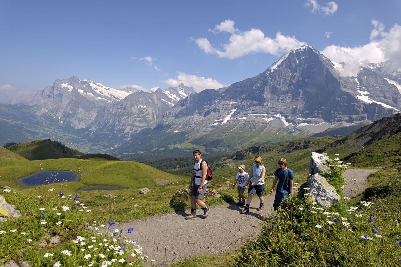 Ab Wengen: Ticket Männlichen