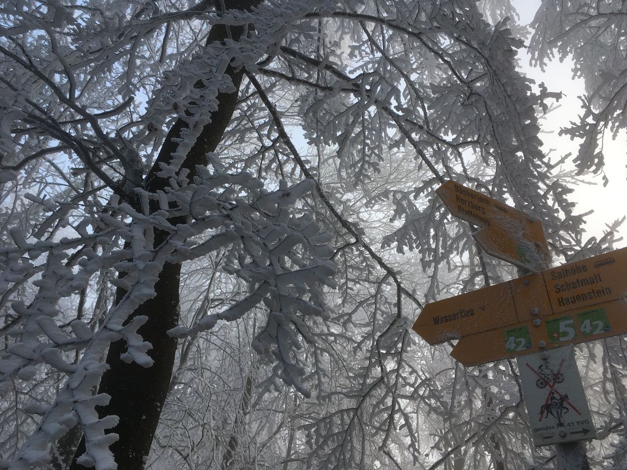 Winter hike snow, ice and geology in the Jurapark Aargau