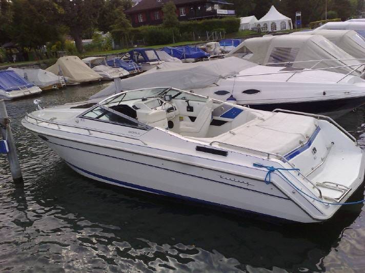 Water sports fun on Lake Zurich from Zurich