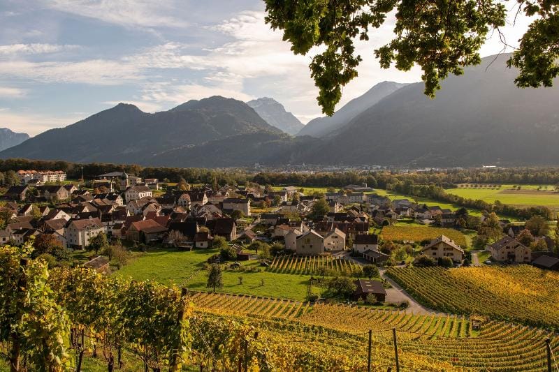 Führung und Degustation im Weingut Davaz