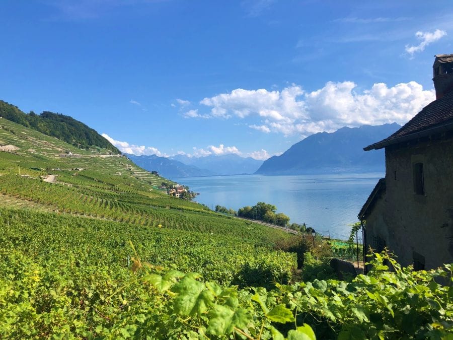 Apéro & Golf Indoor mit Wein am Genfersee