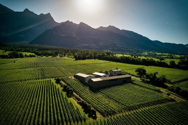 Führung und Degustation im Weingut Davaz