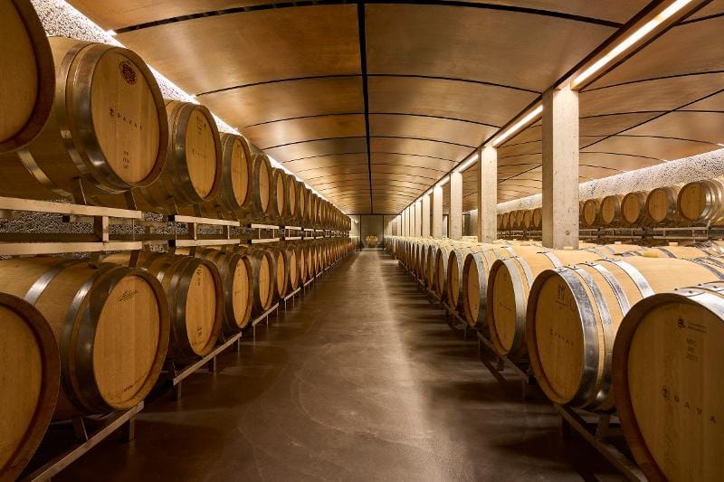 Führung und Degustation im Weingut Davaz