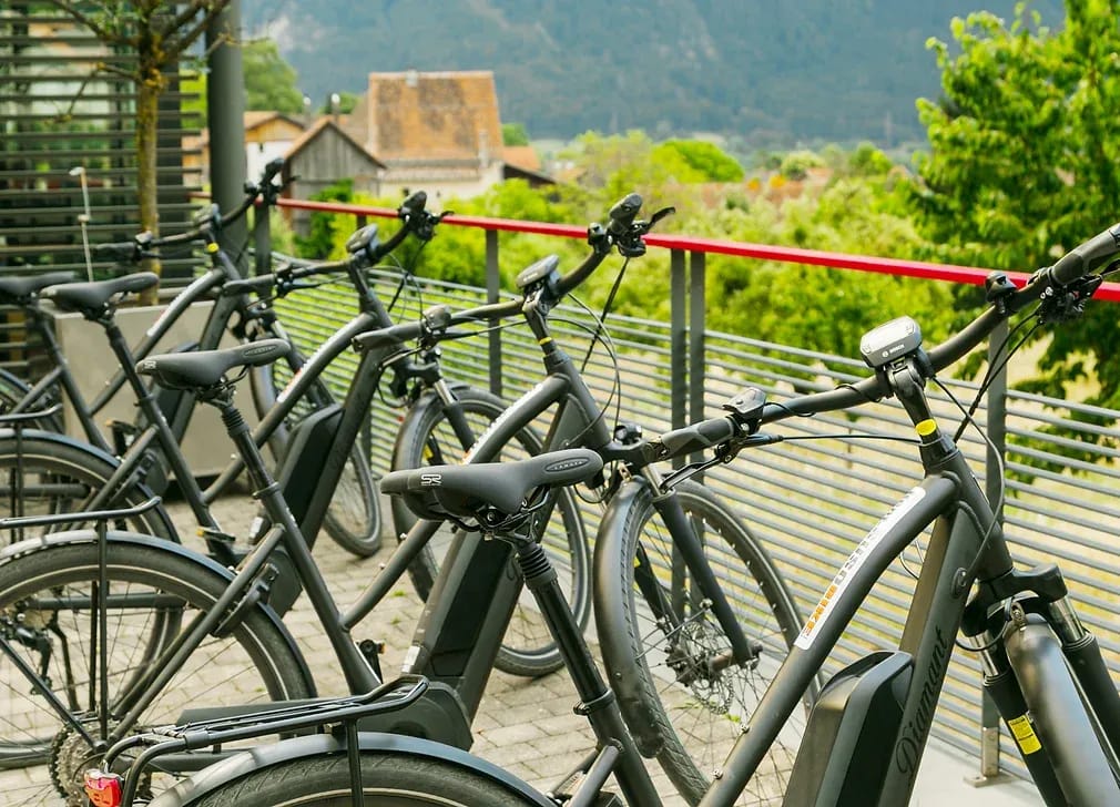 Wine tour and forest bathing with e-bike for women from Bad Ragaz