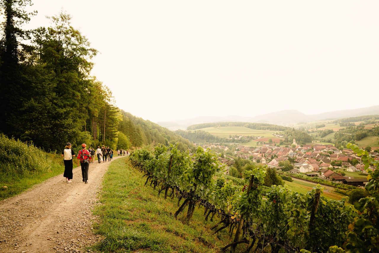 Evening hike to the Bruderhöhle in Effingen