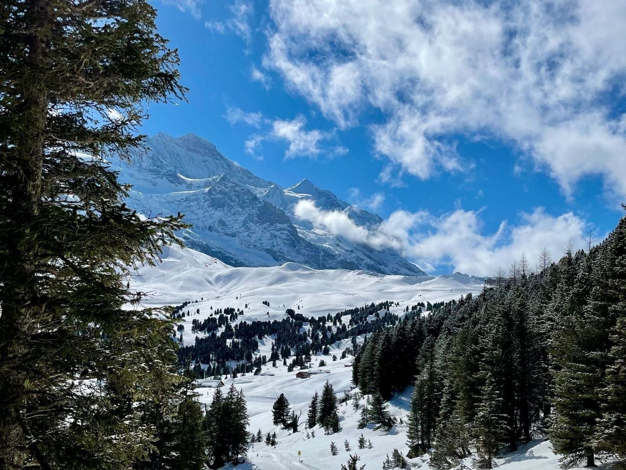 Snowboard mieten in Grindelwald