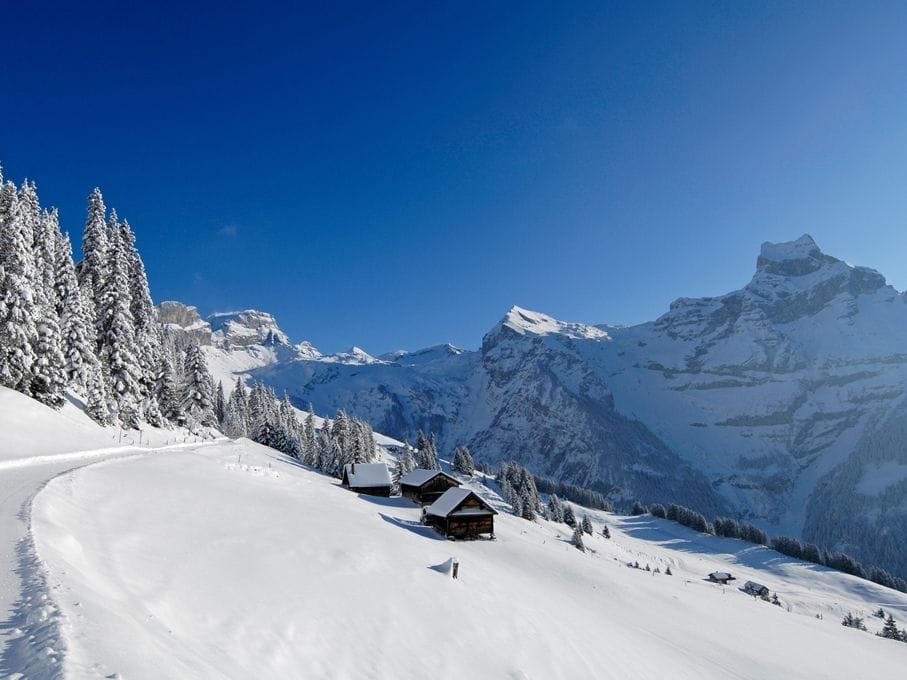 Engelberg-Ristis Winter Ticket Luftseilbahn ab Engelberg