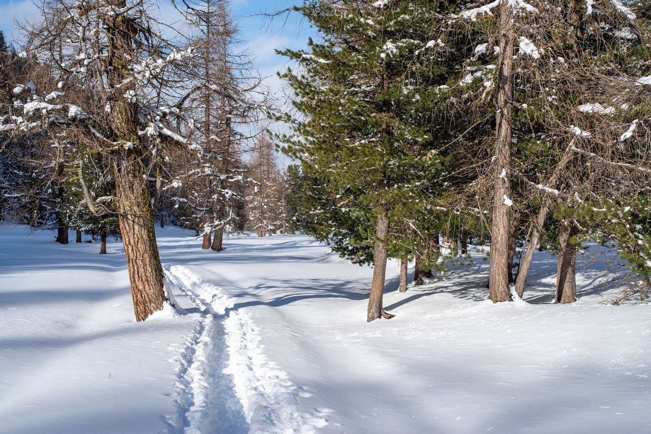 Hike tracks in the snow in Val Müstair