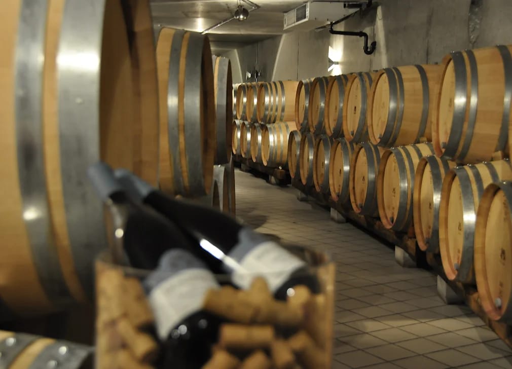 Wine tour and forest bathing with e-bike for women from Bad Ragaz