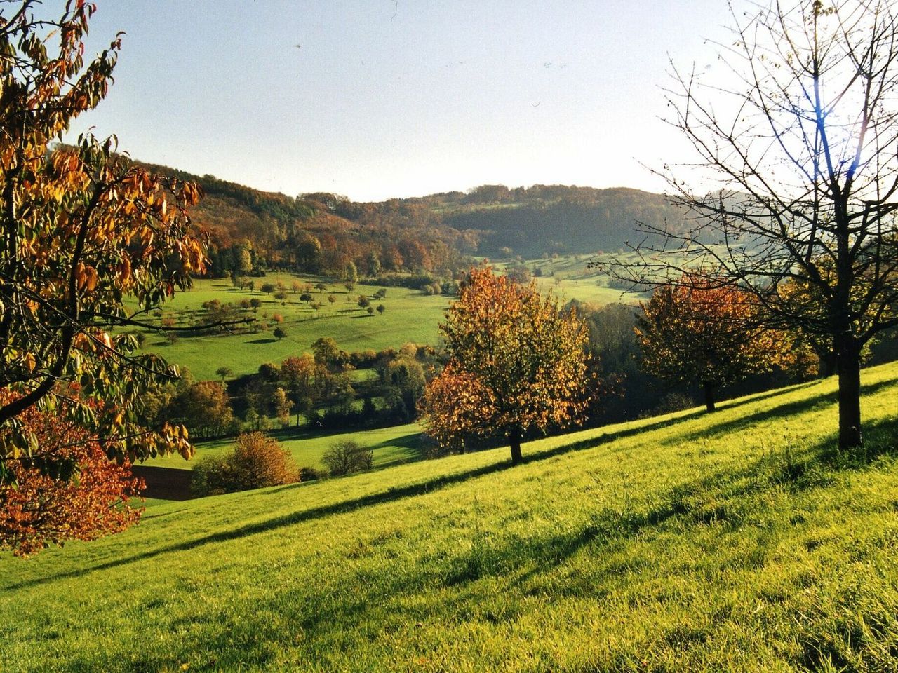 Zeiningen