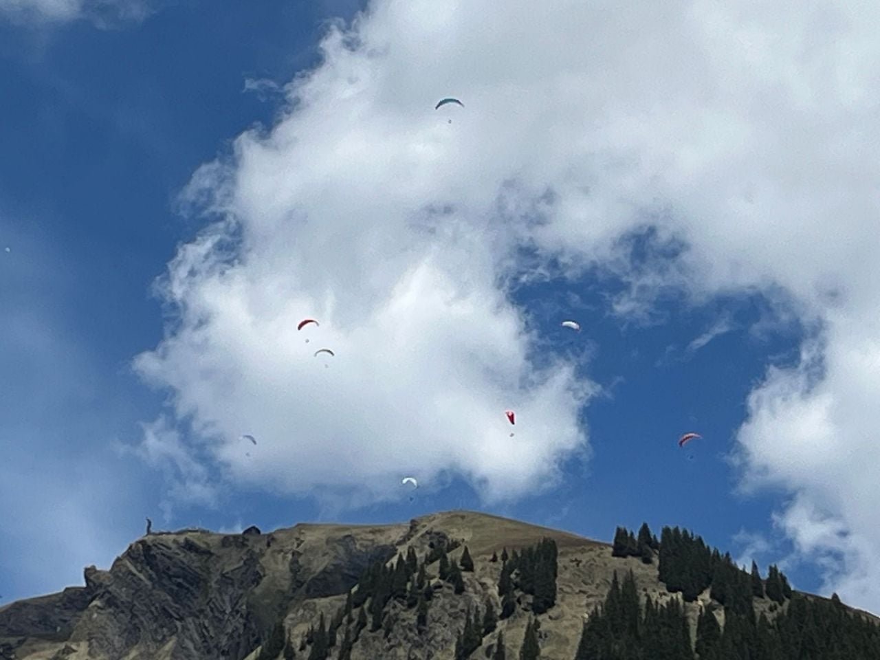 Grindelwald First und Bachalpsee private Wanderung mit einem Schweizer Triathleten ab Grindelwald