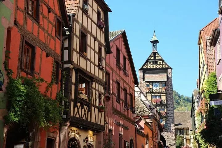 Ab Zürich: Privater Tagesausflug Elsass und Schwarzwald mit Weindegustation