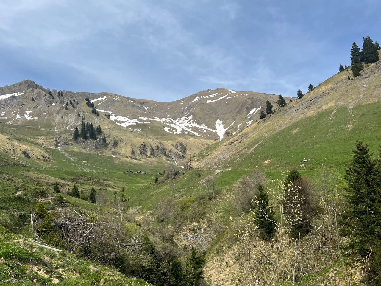 Brienzer Rothorn private Wanderung mit einem Schweizer Triathleten ab Brienz