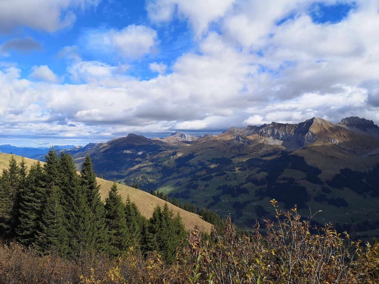Traditionelles Alp Erlebnis in Adelboden