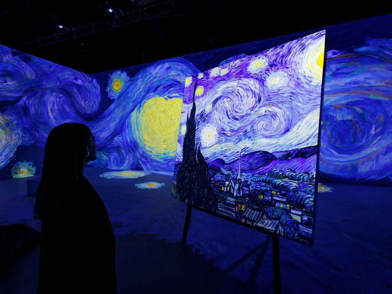 Ticket "VINCENT – Zwischen Wahn und Wunder" immersive Ausstellung Lichthalle Maag Zürich