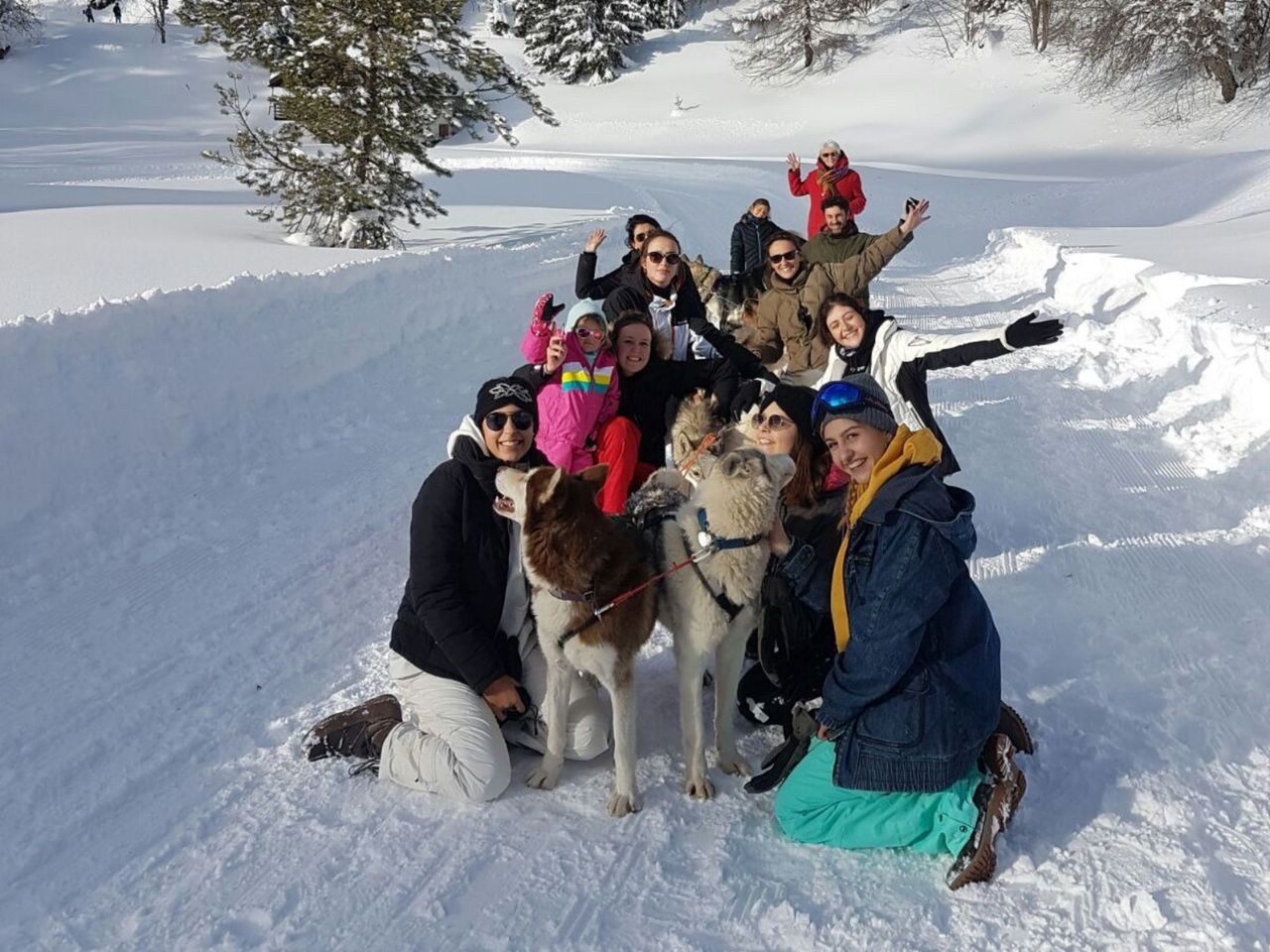 Family adventures in the rhythm of sled dogs