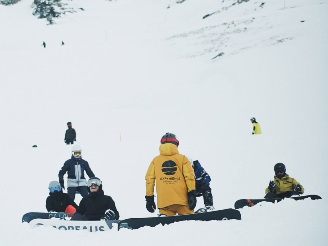 Snowboard Lessons Group for Adults Champéry