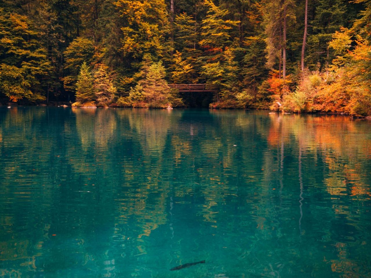 Ab Zürich: Blausee und Interlaken privater Tagesausflug