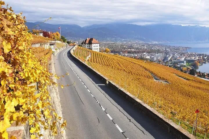 From Zurich: Private Day Trip Cheese, Chocolate and Wine to Western Switzerland